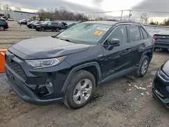 JTMRWRFV3LJ031724 2020 TOYOTA RAV 4