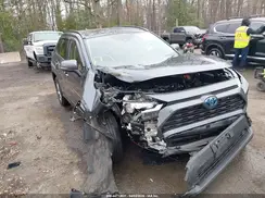 JTMRWRFV3PD168196 2023 TOYOTA RAV 4