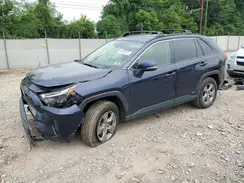JTMRWRFV3PD199352 2023 TOYOTA RAV 4