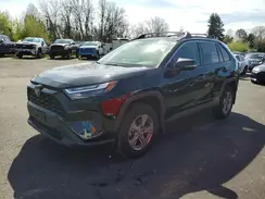 JTMRWRFV3RD209462 2024 TOYOTA RAV 4