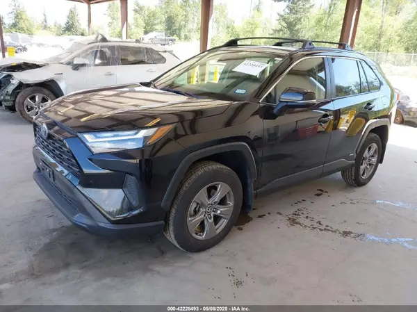 JTMRWRFV3RD209462 2024 TOYOTA RAV 4 - Image 2
