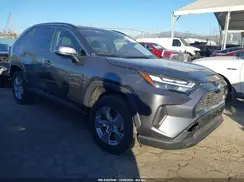 JTMRWRFV3RD222437 2024 TOYOTA RAV 4