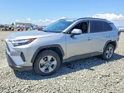 JTMRWRFV3RD263733 2024 TOYOTA RAV 4