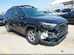 JTMRWRFV3SJ062406 2025 TOYOTA RAV 4