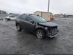JTMRWRFV3SJ066097 2025 TOYOTA RAV 4