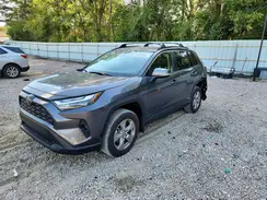 JTMRWRFV3SJ068495 2025 TOYOTA RAV 4