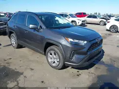 JTMRWRFV3SJ079335 2025 TOYOTA RAV 4