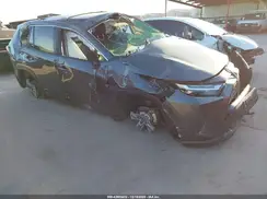 JTMRWRFV45D294088 2025 TOYOTA RAV 4