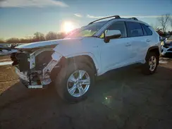 JTMRWRFV4LD548626 2020 TOYOTA RAV 4
