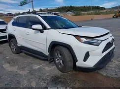 JTMRWRFV4PD167915 2023 TOYOTA RAV 4