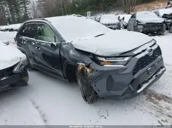 JTMRWRFV4PD203067 2023 TOYOTA RAV 4