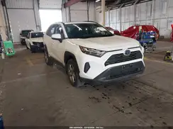 JTMRWRFV4RD216145 2024 TOYOTA RAV 4
