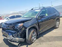 JTMRWRFV4RD228408 2024 TOYOTA RAV 4