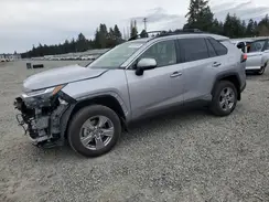 JTMRWRFV4RD230580 2024 TOYOTA RAV 4