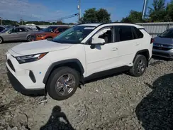 JTMRWRFV5PD172671 2023 TOYOTA RAV 4