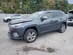 JTMRWRFV5PD184058 2023 TOYOTA RAV 4