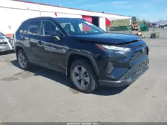 JTMRWRFV5PD203112 2023 TOYOTA RAV 4