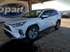JTMRWRFV5RD231558 2024 TOYOTA RAV 4