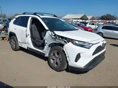 JTMRWRFV5RD233651 2024 TOYOTA RAV 4