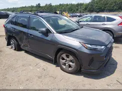 JTMRWRFV5RD239160 2024 TOYOTA RAV 4