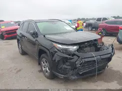 JTMRWRFV5RD245024 2024 TOYOTA RAV 4