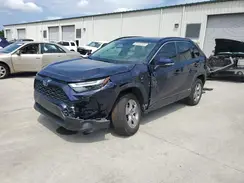 JTMRWRFV5RD253575 2024 TOYOTA RAV 4