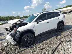 JTMRWRFV5RD262647 2024 TOYOTA RAV 4