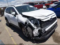 JTMRWRFV5RD589470 2024 TOYOTA RAV 4