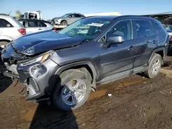 JTMRWRFV5RJ061140 2024 TOYOTA RAV 4