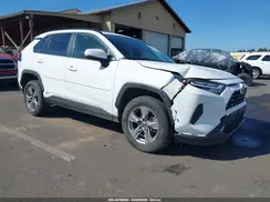 JTMRWRFV5SD304675 2025 TOYOTA RAV 4