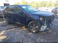 JTMRWRFV6PD191908 2023 TOYOTA RAV 4