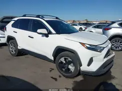 JTMRWRFV6PD195652 2023 TOYOTA RAV 4