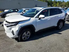 JTMRWRFV6PD200445 2023 TOYOTA RAV 4