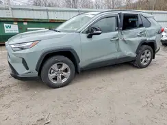 JTMRWRFV6PD200736 2023 TOYOTA RAV 4