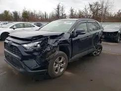JTMRWRFV6RD233724 2024 TOYOTA RAV 4