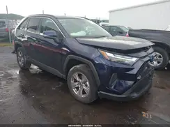 JTMRWRFV6RD259482 2024 TOYOTA RAV 4
