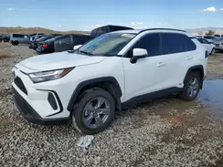 JTMRWRFV6RD271406 2024 TOYOTA RAV 4