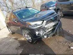 JTMRWRFV6RJ059834 2024 TOYOTA RAV 4