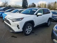 JTMRWRFV7KD505493 2019 TOYOTA RAV 4