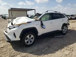 JTMRWRFV7MD118736 2021 TOYOTA RAV 4