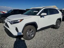 JTMRWRFV7PD207209 2023 TOYOTA RAV 4