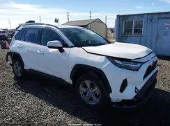 JTMRWRFV7PD576359 2023 TOYOTA RAV 4