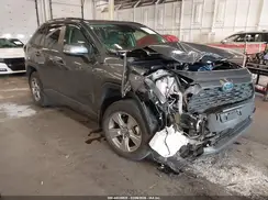 JTMRWRFV7RD227852 2024 TOYOTA RAV 4