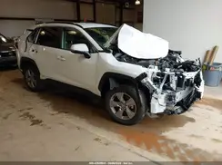 JTMRWRFV7RD244456 2024 TOYOTA RAV 4
