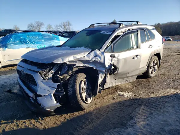 JTMRWRFV7RD251164 2024 TOYOTA RAV 4 - Image 1