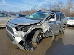 JTMRWRFV7RD256655 2024 TOYOTA RAV 4