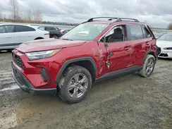 JTMRWRFV7RD259779 2024 TOYOTA RAV 4