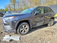 JTMRWRFV7RD274850 2024 TOYOTA RAV 4