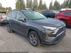 JTMRWRFV7RJ062046 2024 TOYOTA RAV 4