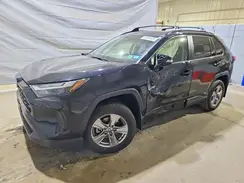 JTMRWRFV7SD334664 2025 TOYOTA RAV 4